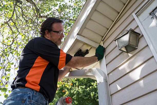 Shed Removal